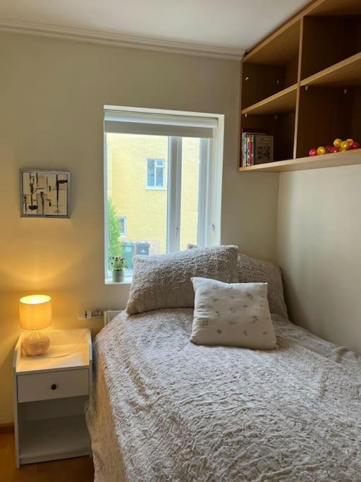 Charming 3 Bedroom Apartment Akureyri Exterior photo
